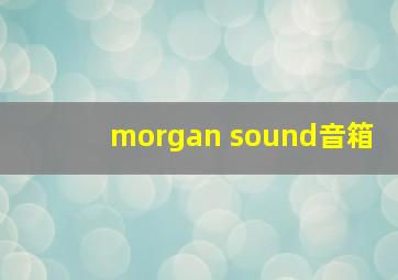 morgan sound音箱